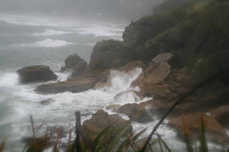 Nieuw-Zeeland 2011 - 1325